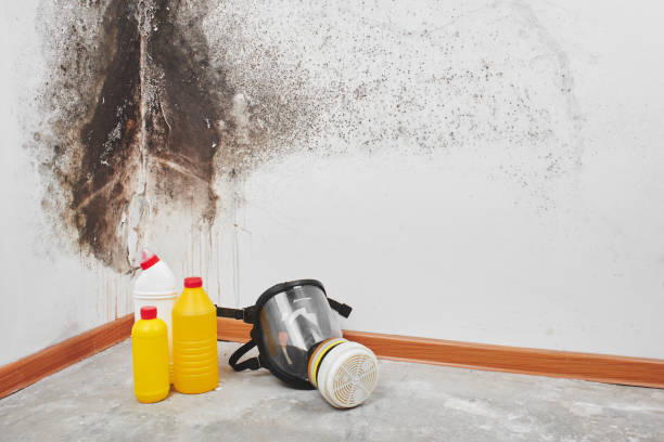 Water Damage Restoration in Grill, PA