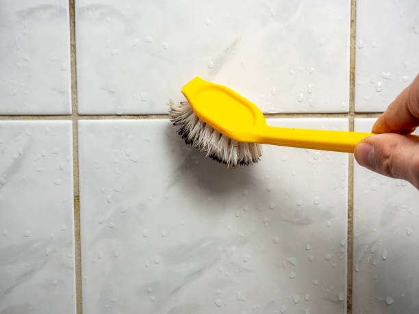 Best Mold Remediation Experts  in Grill, PA