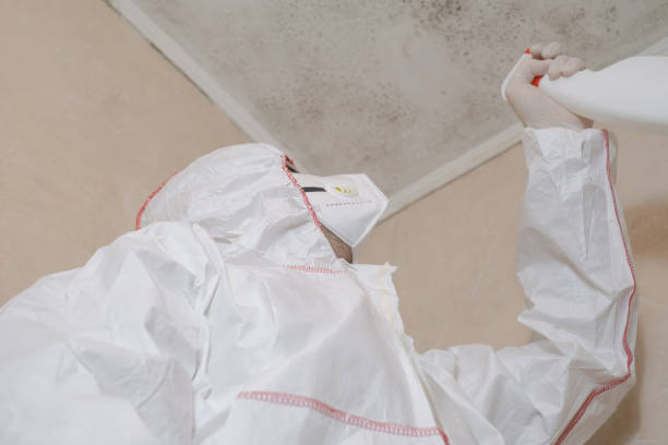 Mold Removal Process in Grill, PA
