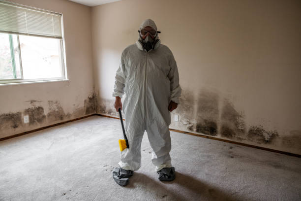 Best Mold Removal Process  in Grill, PA