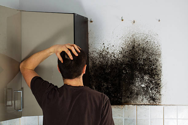 Best Mold Removal Near Me  in Grill, PA